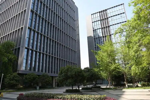 美團(tuán)數(shù)字賦能西北 在新疆設(shè)立科技子公司或開啟區(qū)域研發(fā)新篇章