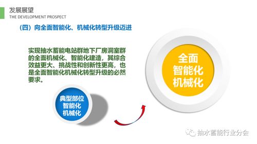 抽水蓄能電站TBM技術(shù)發(fā)展報告（2020-2021） 掘進(jìn)創(chuàng)新與工程實踐